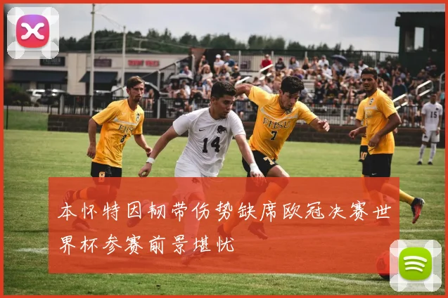 本怀特因韧带伤势缺席欧冠决赛世界杯参赛前景堪忧