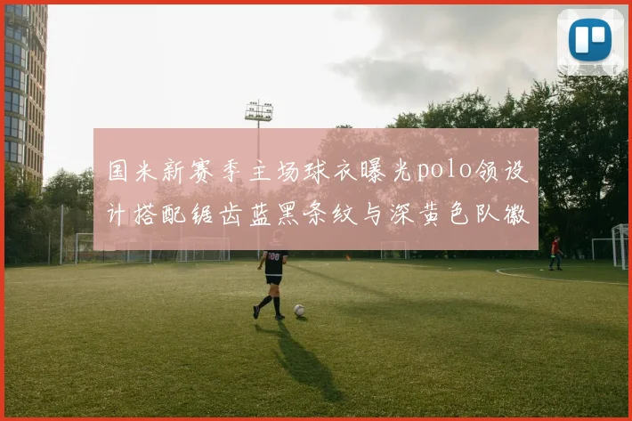国米新赛季主场球衣曝光polo领设计搭配锯齿蓝黑条纹与深黄色队徽